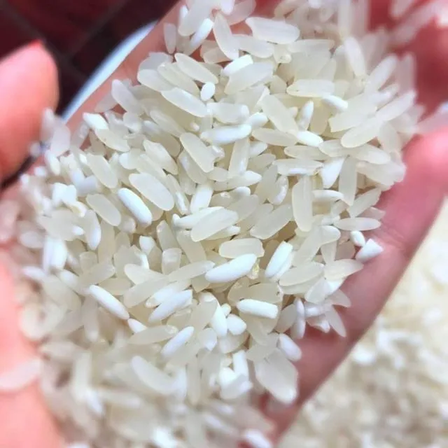 Gạo Séng Cù Mường Khương Lào Cai Đặc Sản Tây Bắc
